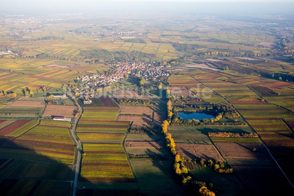 Göcklingen von oben - Herbstliche Dorf - Ansicht im Abendlicht am Rande von Feldern in Göcklingen im Bundesland Rheinland-Pfalz, Deutschland