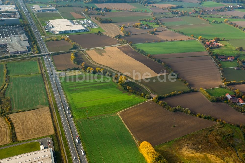 Luftaufnahme Hamm - Herbstliche Felder im Autobahn- Streckenverlauf und Umgebung der Autobahn A2 im Westen von Rhynern in Hamm im Bundesland Nordrhein-Westfalen