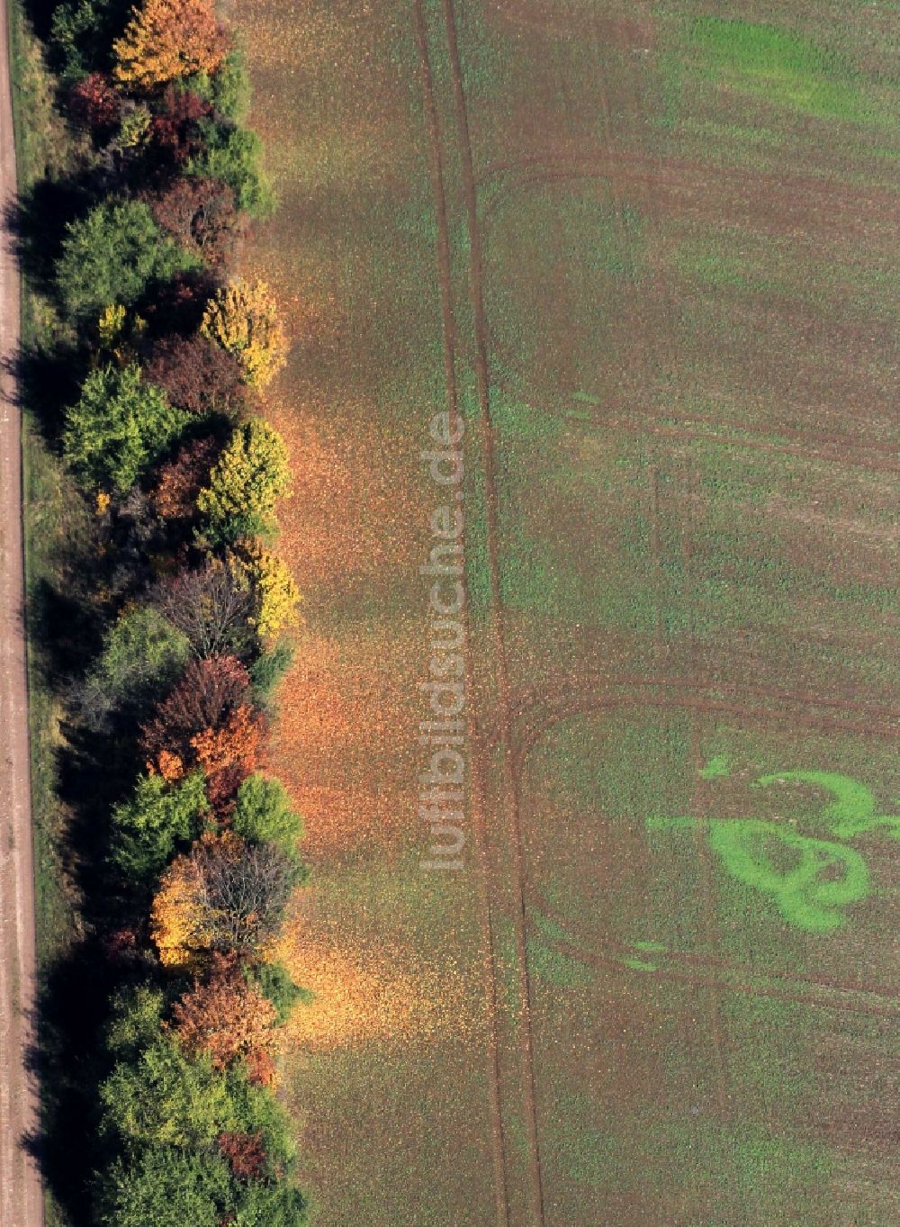 Luftaufnahme Weimar - Herbstliche Felder- Landschaft bei Weimar in Thüringen.