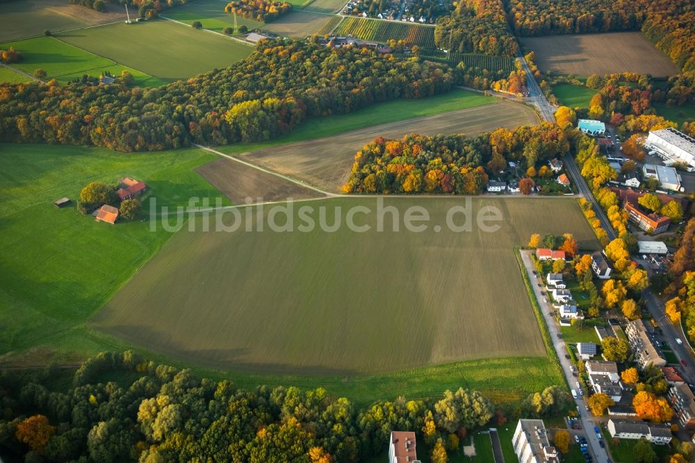 Luftaufnahme Gladbeck - Herbstliche Felder, Wiesen und Wälder an der Hagelkreuzstraße im Norden von Gladbeck im Bundesland Nordrhein-Westfalen