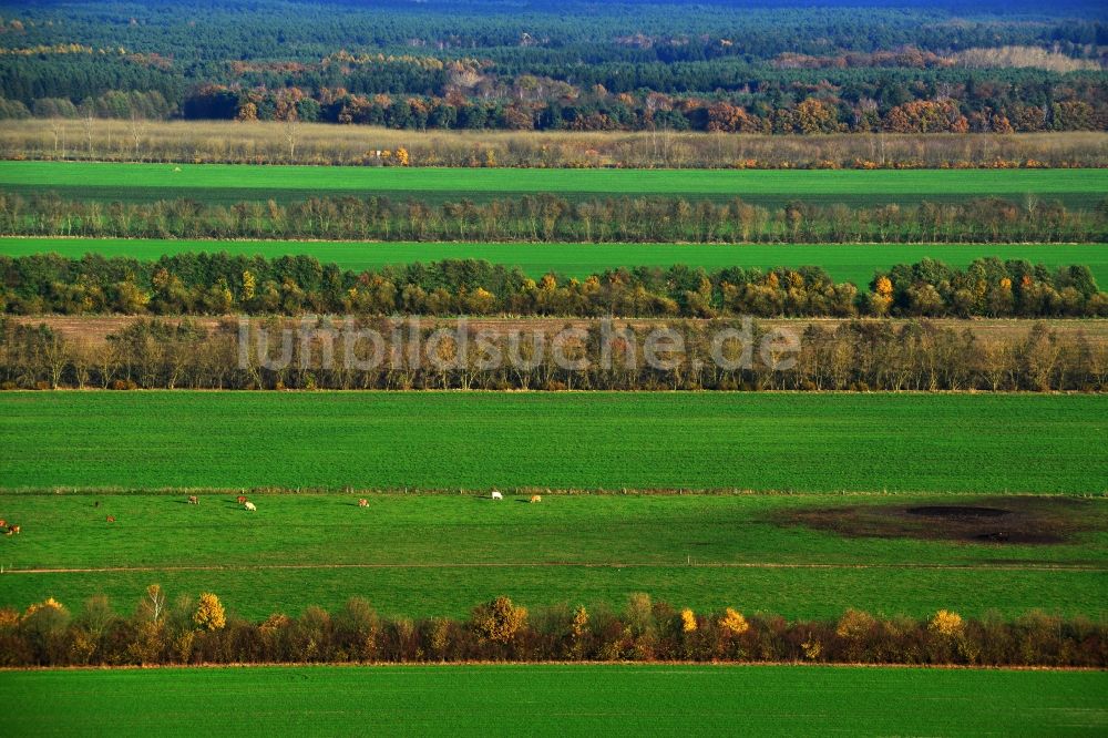 Liebenwalde aus der Vogelperspektive: Herbstliche Feldlandschaft in Liebenwalde im Bundesland Brandenburg