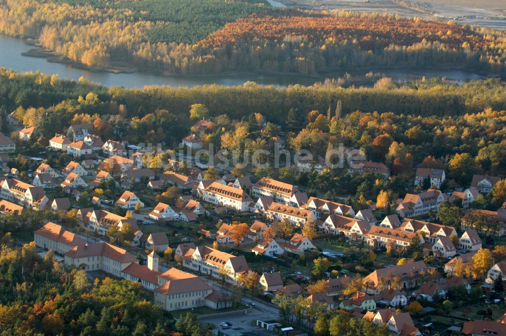 Lauta von oben - Herbstliche Gartenstadt Lauta-Nord