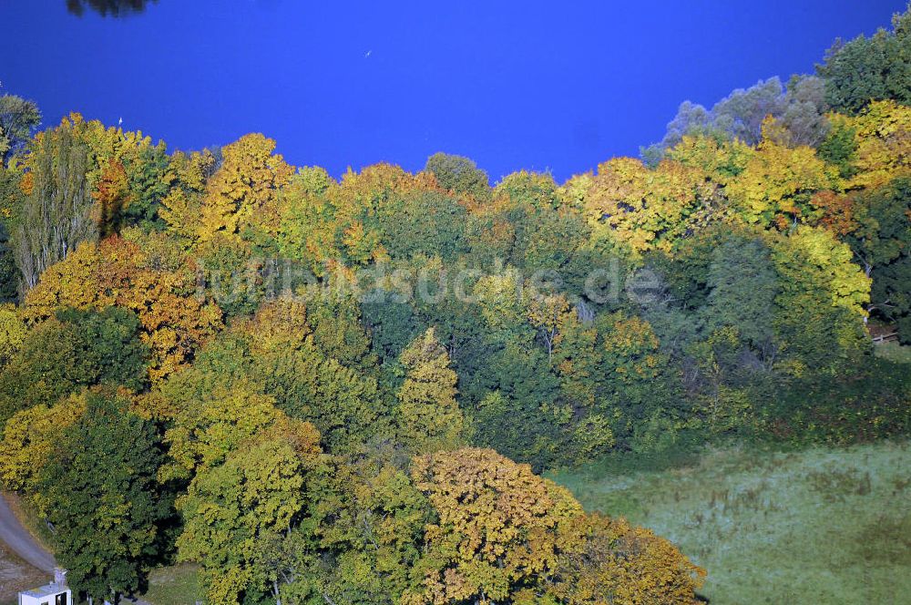 Luftaufnahme Kranepuhl - Herbstliche Stimmung an Laubbäumen am Havelufer bei Kranepuhl in Brandenburg