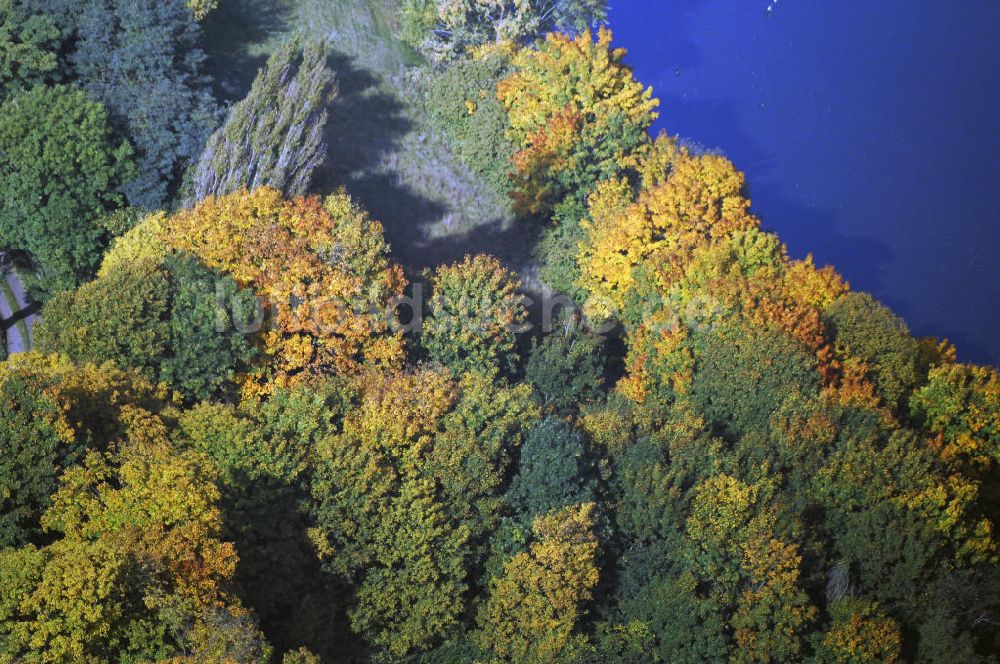 Kranepuhl von oben - Herbstliche Stimmung an Laubbäumen am Havelufer bei Kranepuhl in Brandenburg