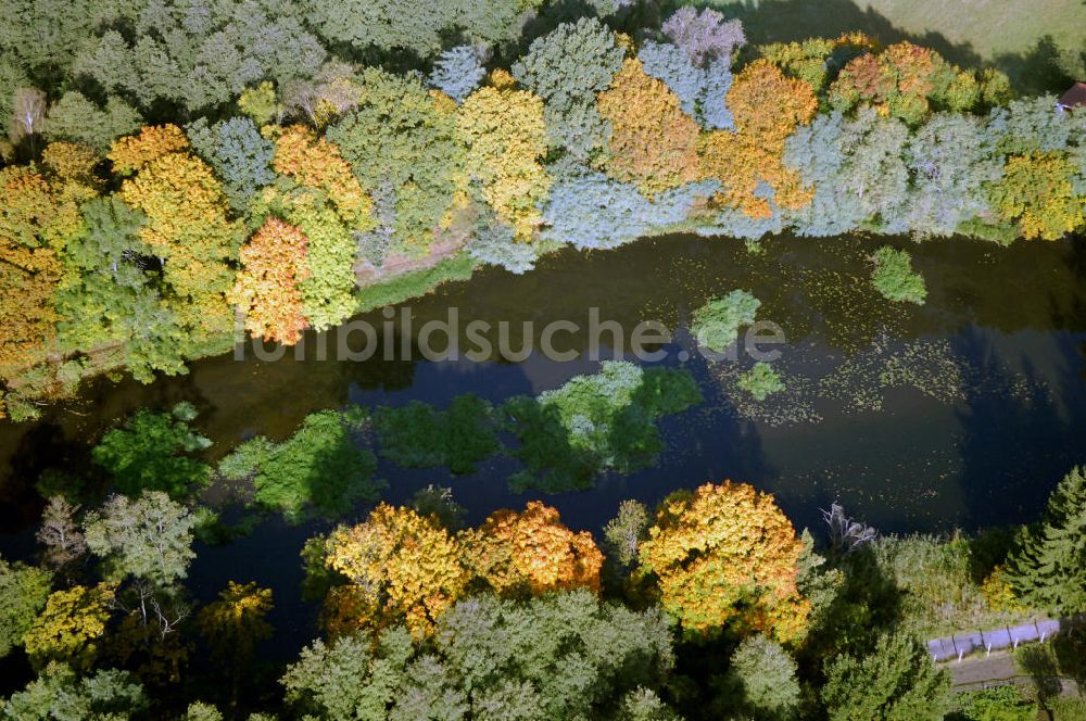 Luftaufnahme Kranepuhl - Herbstliche Stimmung an Laubbäumen am Havelufer bei Kranepuhl in Brandenburg