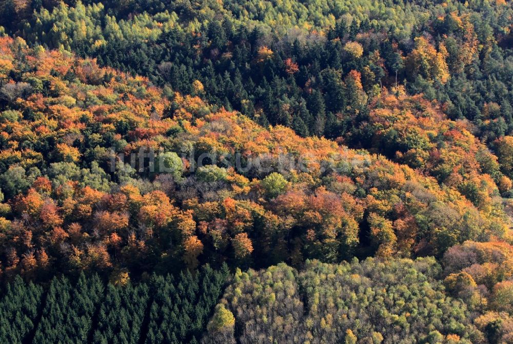 Hohenfelden von oben - Herbstliche Wald- Landschaft bei Hohenfelden in Thüringen.