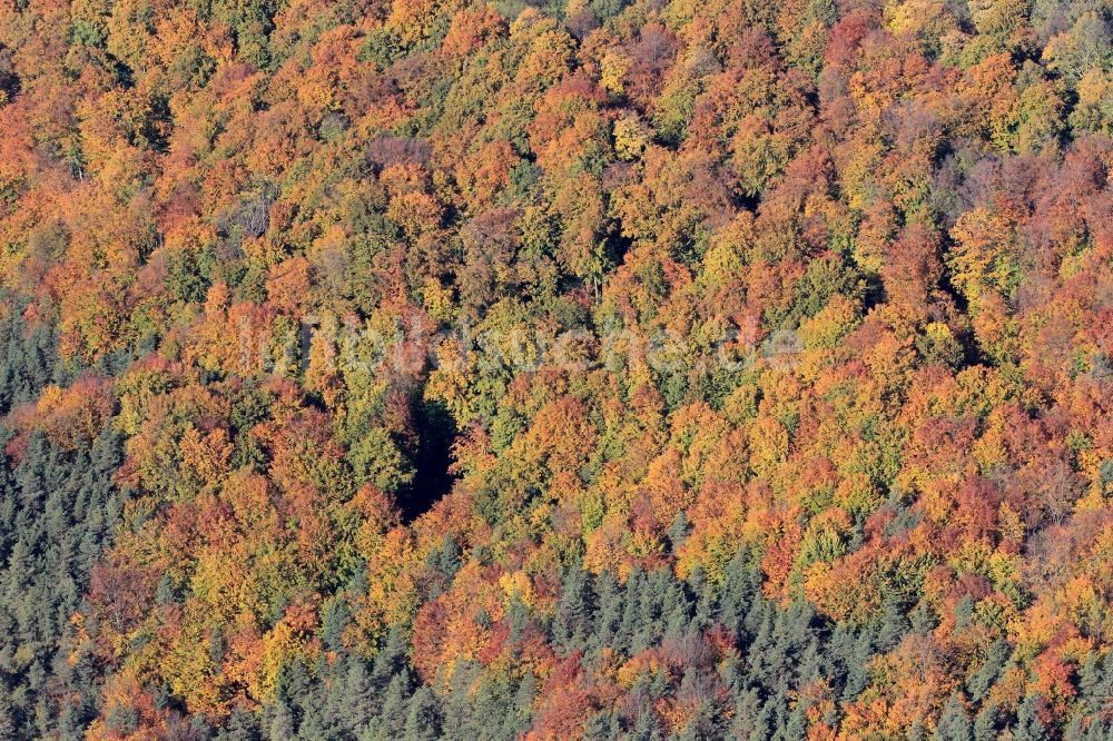 Luftaufnahme Magdala - Herbstliche Wald- Landschaft bei Magdala in Thüringen.