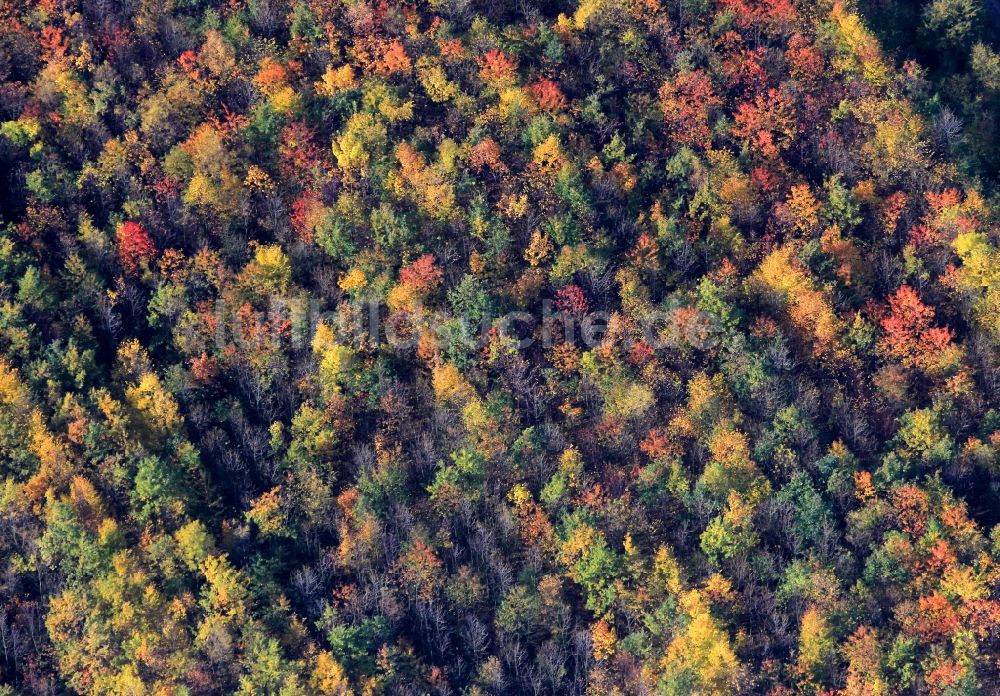 Luftbild Weimar - Herbstliche Wald- Landschaft bei Weimar in Thüringen