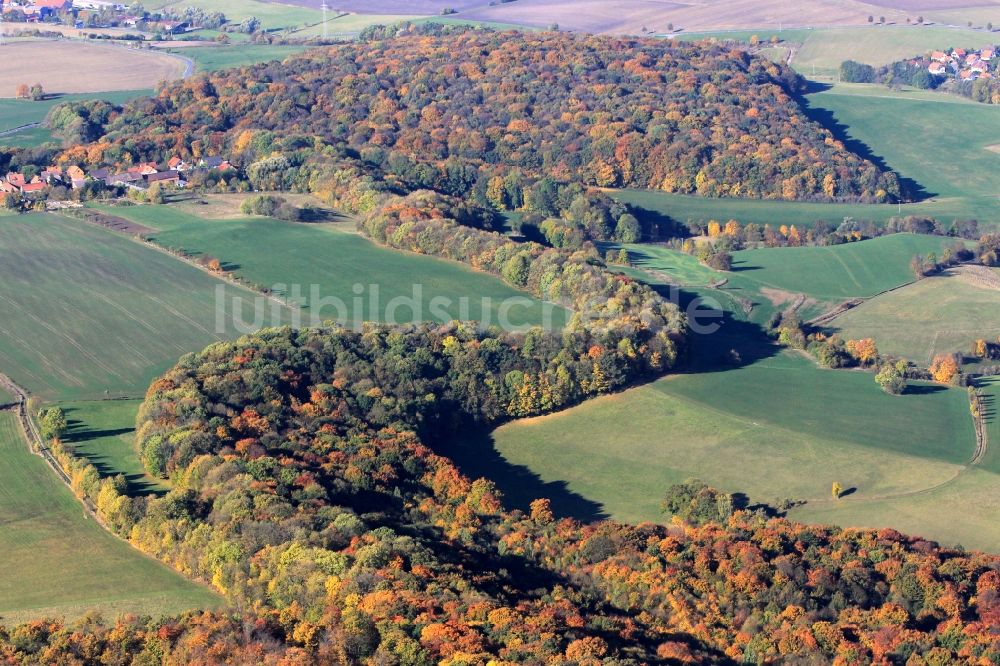 Luftbild Jena - Herbstliche Wald- Landschaft in der Nähe von Jena in Thüringen