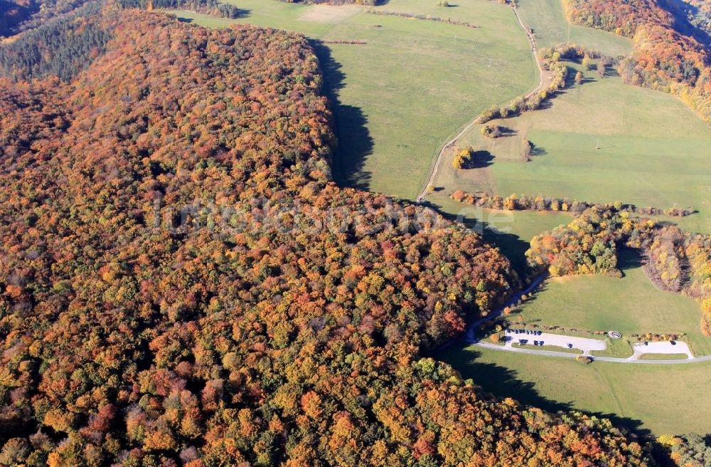 Luftaufnahme Jena - Herbstliche Wald- Landschaft in der Nähe von Jena in Thüringen