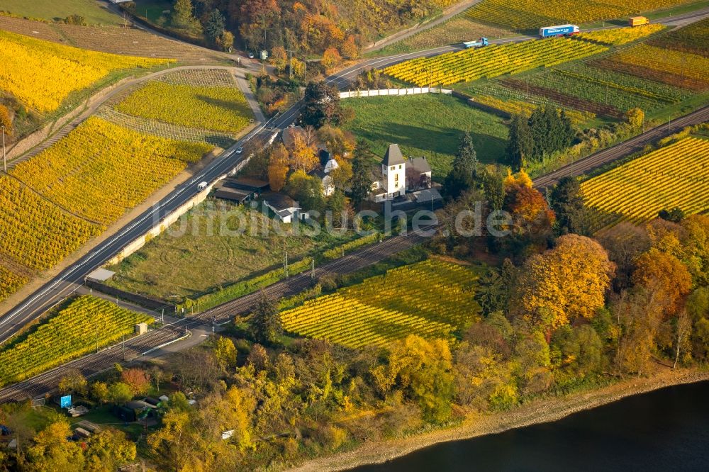 Luftaufnahme Leutesdorf - Herbstliche Weinbergs- Landschaft der Winzer- Gebiete im Norden von Leutesdorf im Bundesland Rheinland-Pfalz