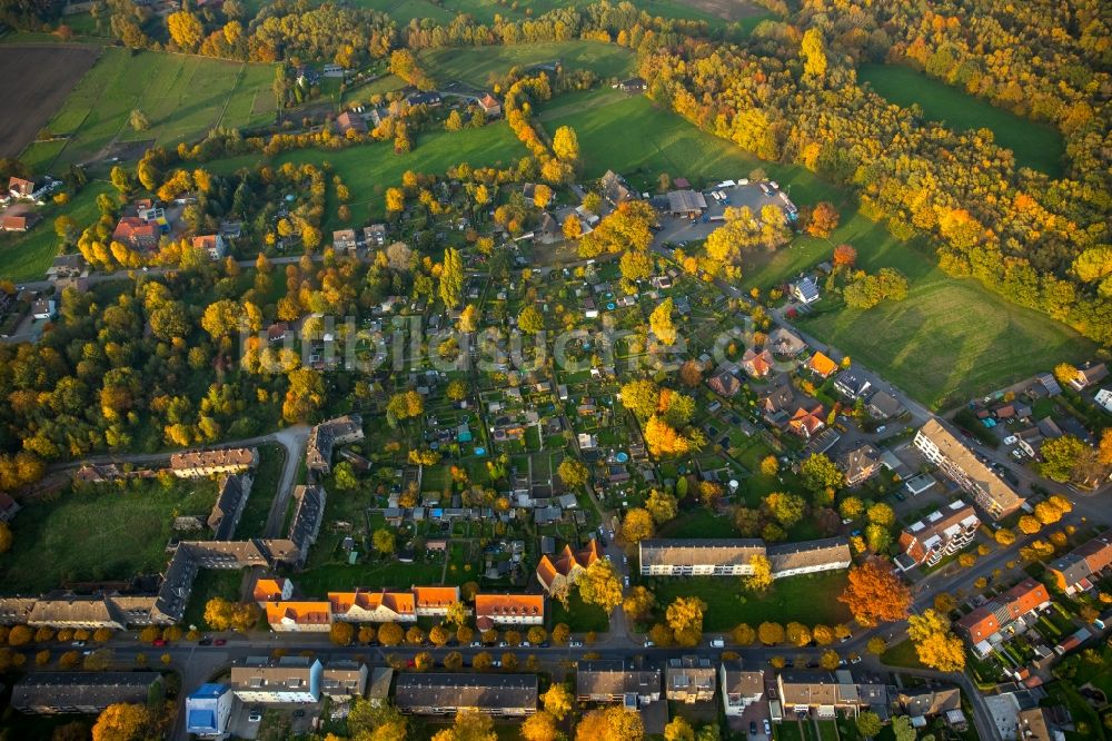 Gladbeck von oben - Herbstliche Wohngebiets- Siedlung an der Schlägelstraße und Kleingartensiedlung an der Schulstraße im Stadtteil Zweckel in Gladbeck im Bundesland Nordrhein-Westfalen