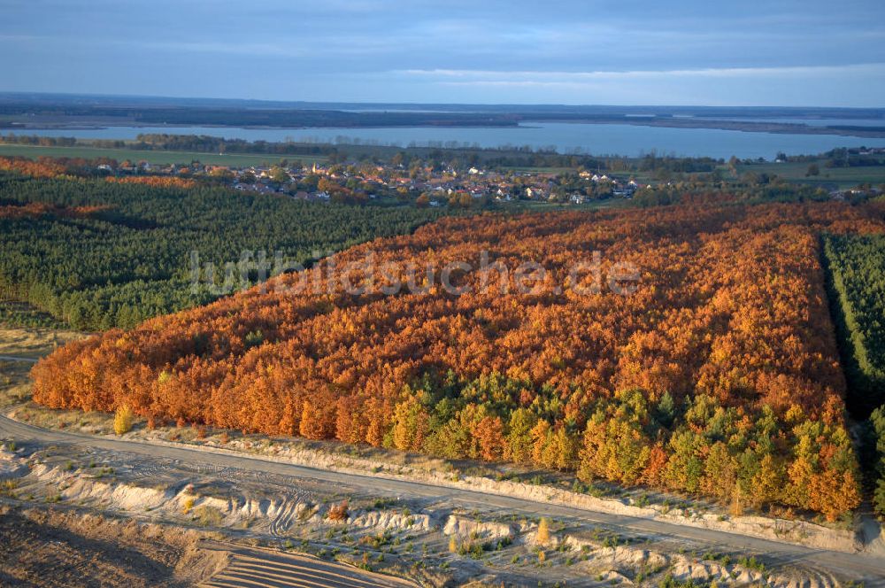 Luftbild Tätzschwitz - Herbstlichen Laubwald und Nadelwald bei Tätzschwitz