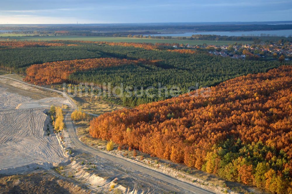 Luftaufnahme Tätzschwitz - Herbstlichen Laubwald und Nadelwald bei Tätzschwitz