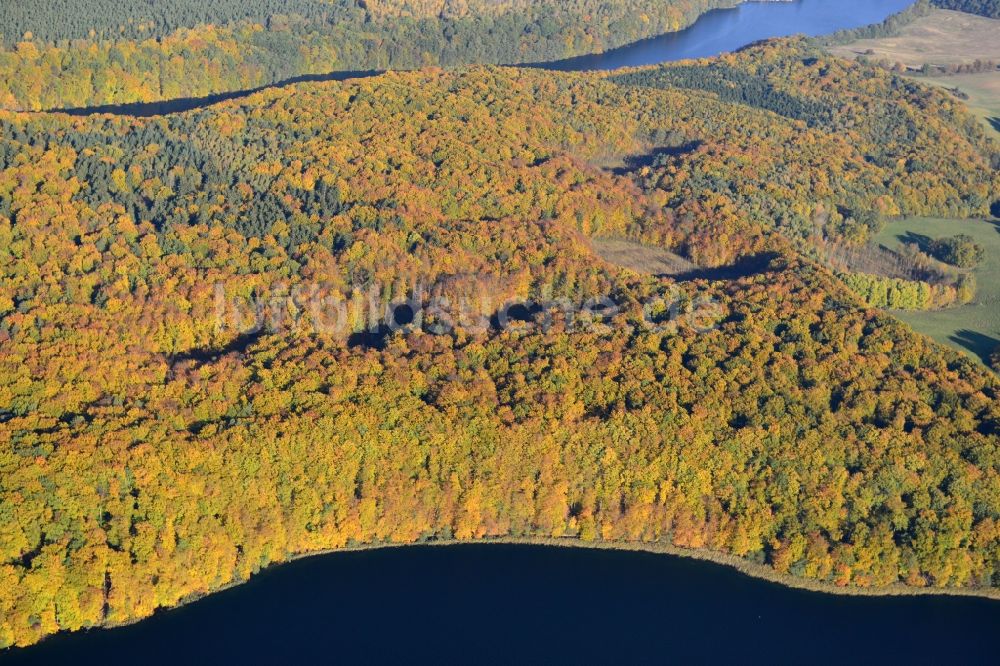 Feldberg von oben - Herbstlicher Blick auf das mit Mischwald bewachsene Naturschutzgebiet Hullerbusch bei Feldberg im Bundesland Mecklenburg-Vorpommern