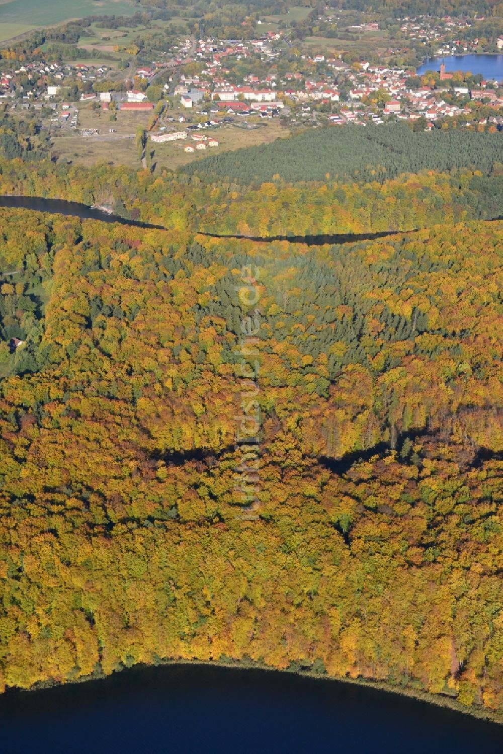 Luftbild Feldberg - Herbstlicher Blick auf das mit Mischwald bewachsene Naturschutzgebiet Hullerbusch bei Feldberg im Bundesland Mecklenburg-Vorpommern