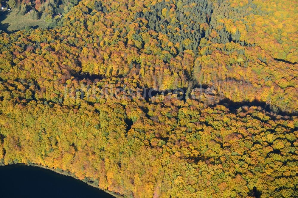 Luftaufnahme Feldberg - Herbstlicher Blick auf das mit Mischwald bewachsene Naturschutzgebiet Hullerbusch bei Feldberg im Bundesland Mecklenburg-Vorpommern