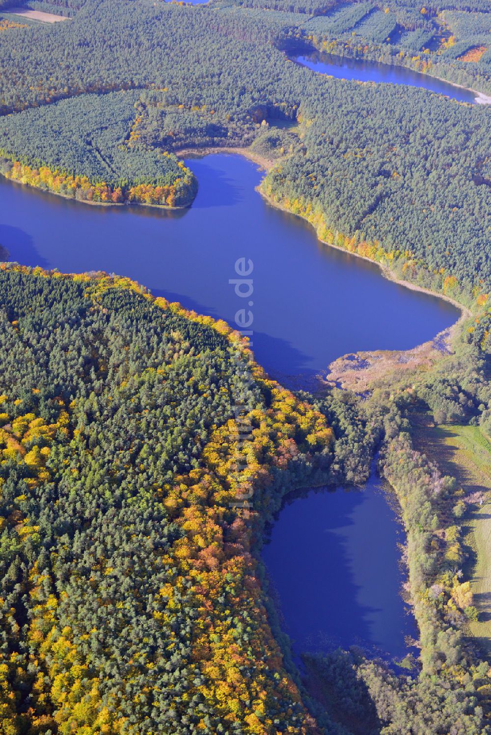 Feldberger Seenlandschaft aus der Vogelperspektive: Herbstlicher Naturpark Feldberger Seenlandschaft in Mecklenburg-Vorpommern