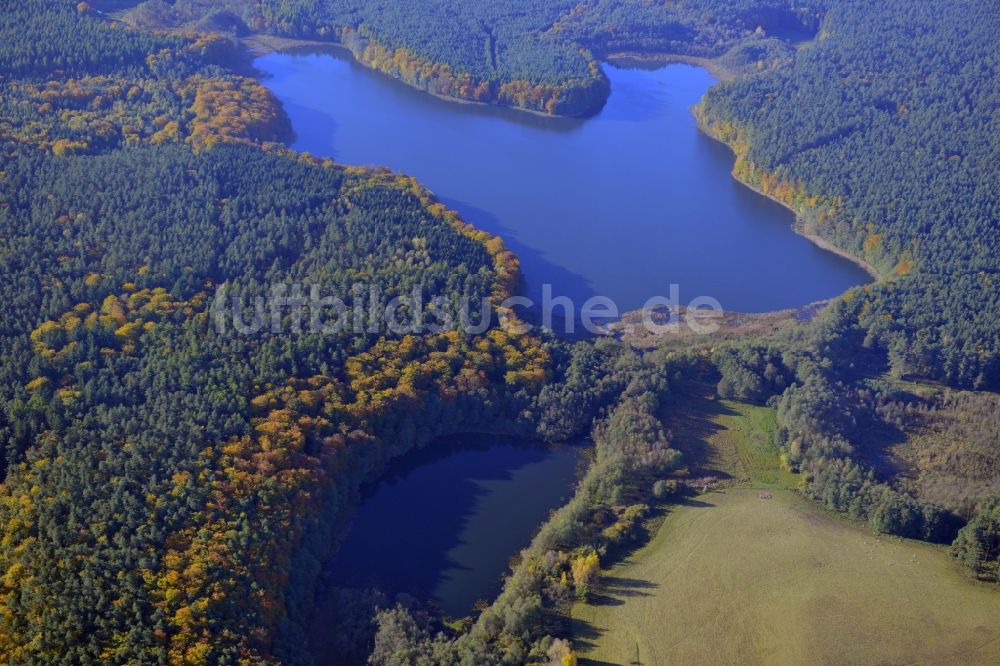 Luftbild Feldberger Seenlandschaft - Herbstlicher Naturpark Feldberger Seenlandschaft in Mecklenburg-Vorpommern