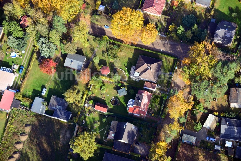 Vogelsdorf von oben - Herbstliches Einfamilienhaus- und Kleingarten- Wohngebiet in Fredersdorf-Vogelsdorf im Bundesland Brandenburg