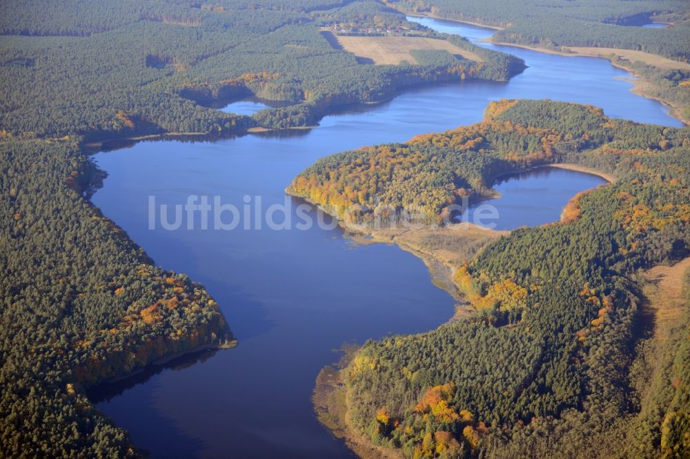 Luftaufnahme Uckermark - Herbstliches Landschaftsschutzgebiet Norduckermärckische Seelandschaft im Ortsteil Uckermark vom Bundesland Brandenburg