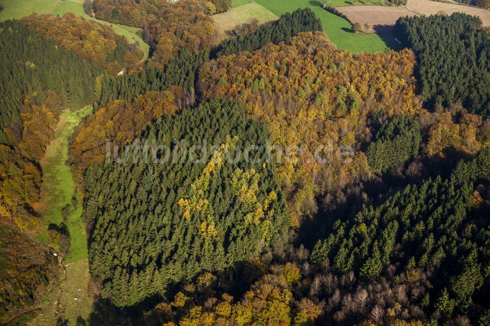 Ennepetal von oben - Herbstliches Waldgebiet in Ennepetal im Bundesland Nordrhein-Westfalen