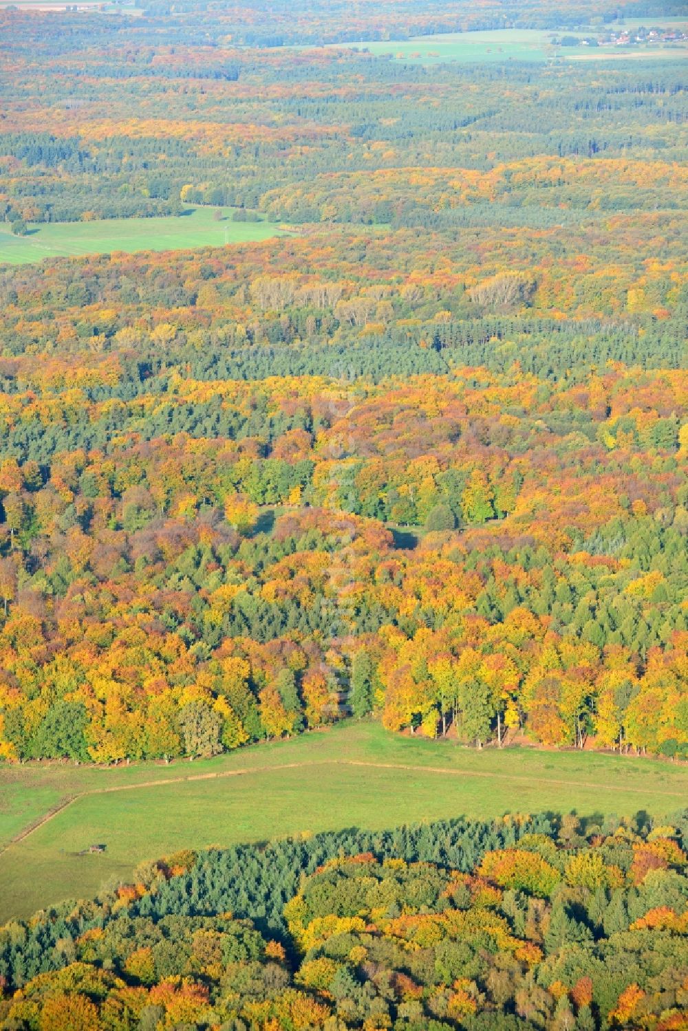 Luftaufnahme Flechtingen - Herbstliches Waldgebiet in Flechtingen im Bundesland Sachsen-Anhalt