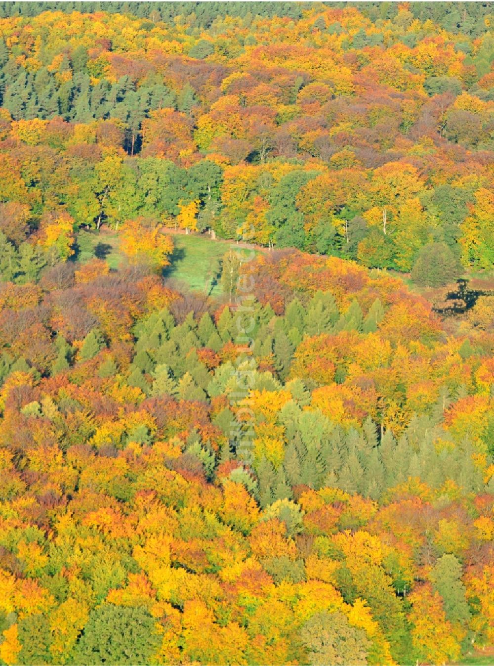 Luftbild Flechtingen - Herbstliches Waldgebiet in Flechtingen im Bundesland Sachsen-Anhalt