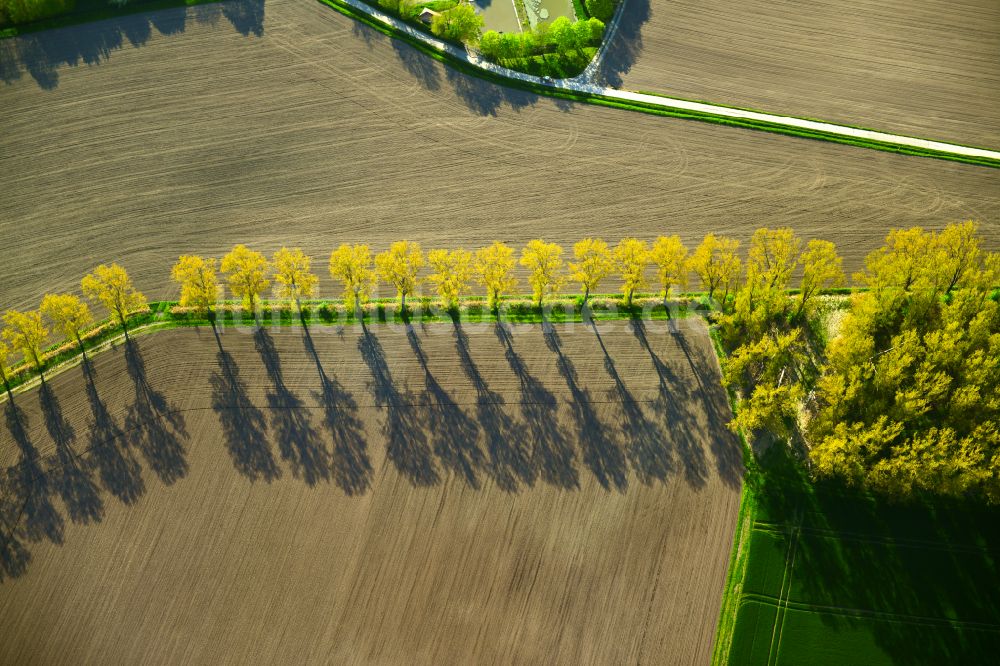 Luftbild Wiesenbronn - Herbstluftbild Baumreihe an einer Landstraße an einem Feldrand in Wiesenbronn im Bundesland Bayern, Deutschland