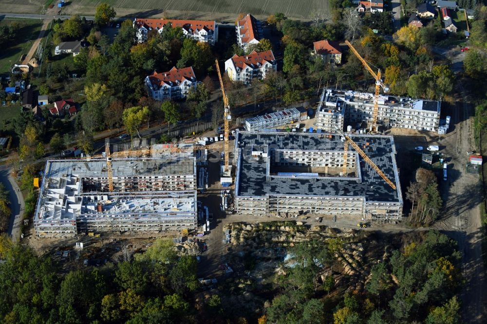 Bernau aus der Vogelperspektive: Herbstluftbild Baustelle zum Neubau einer Mehrfamilienhaus-Wohnanlage Waldquartier in Bernau im Bundesland Brandenburg, Deutschland