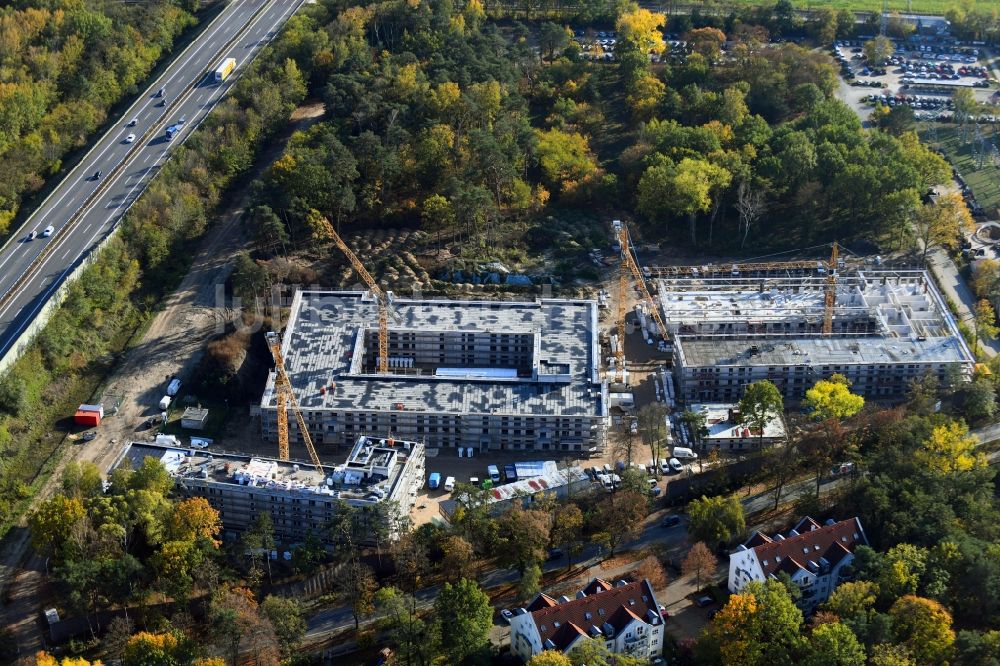 Bernau aus der Vogelperspektive: Herbstluftbild Baustelle zum Neubau einer Mehrfamilienhaus-Wohnanlage Waldquartier in Bernau im Bundesland Brandenburg, Deutschland