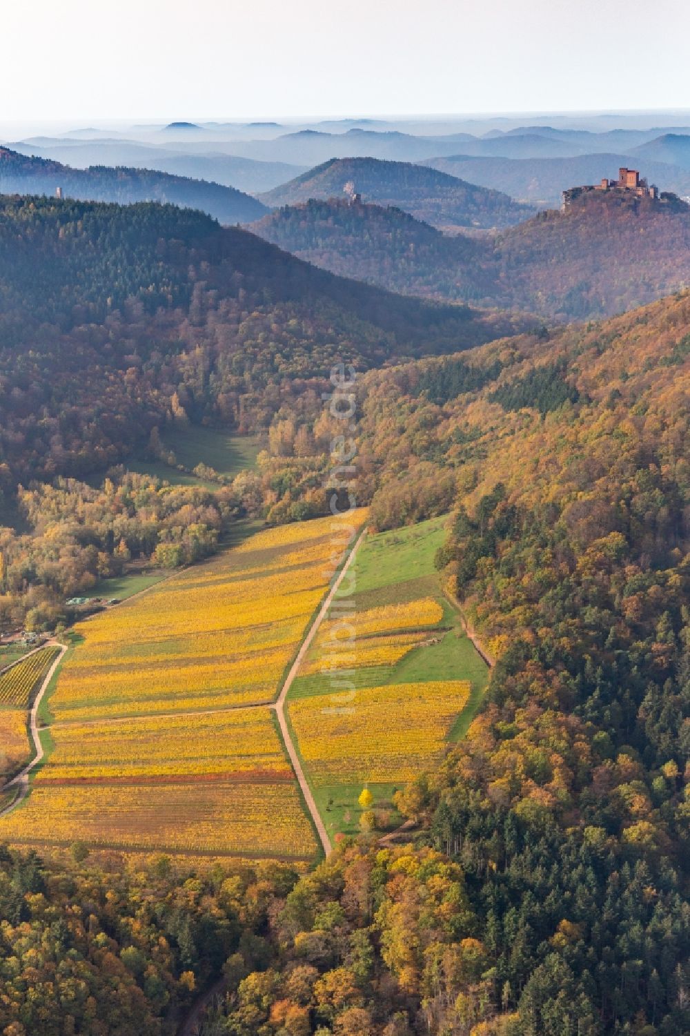 Annweiler am Trifels aus der Vogelperspektive: Herbstluftbild der Burgruinen Trifels, Scharfeneck und Anebos über dem Pfälzerwald vom Birnbachtal aus gesehen in Annweiler am Trifels im Bundesland Rheinland-Pfalz, Deutschland