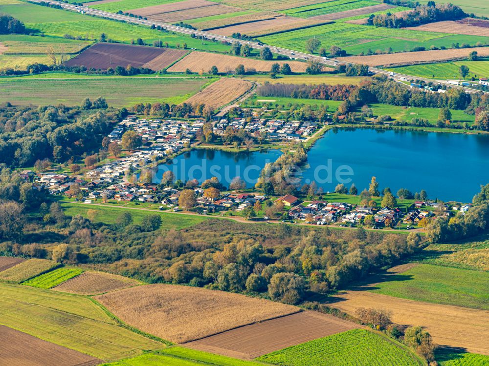 Luftaufnahme Friesenheim - Herbstluftbild Campingplatz mit Wohnwagen und Zelten am Baggersee Schuttern in Friesenheim im Bundesland Baden-Württemberg, Deutschland