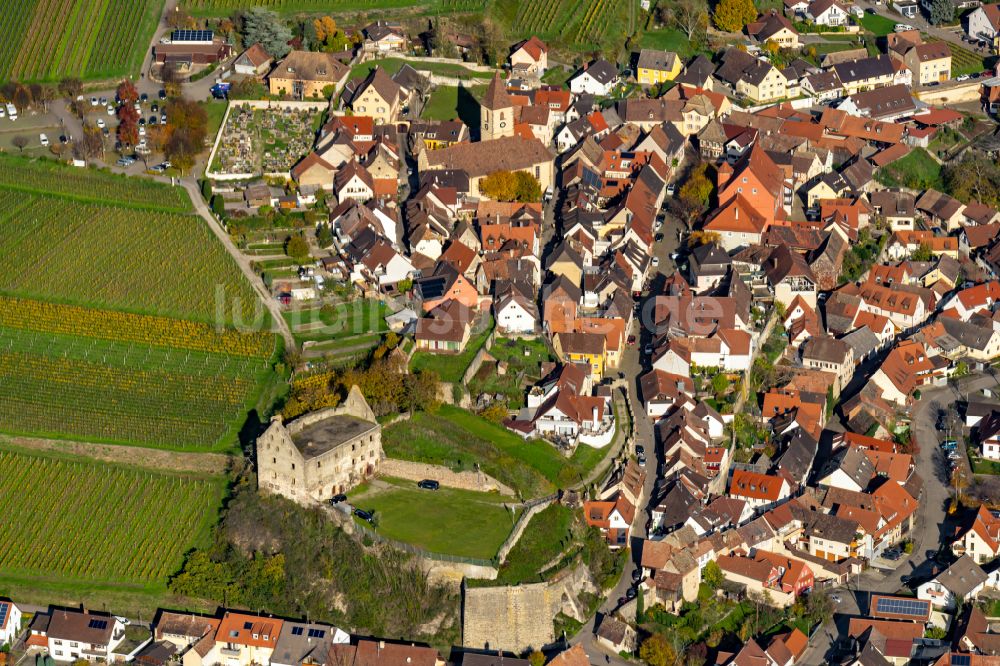 Burkheim aus der Vogelperspektive: Herbstluftbild Dorf - Ansicht in Burkheim Gemeinde Vogtsburg am Kaiserstuhl im Bundesland Baden-Württemberg, Deutschland