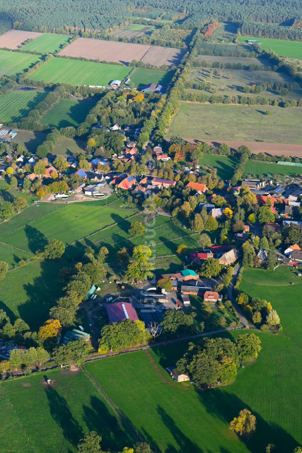 Fitzen aus der Vogelperspektive: Herbstluftbild Dorfkern am Feldrand in Fitzen im Bundesland Schleswig-Holstein, Deutschland