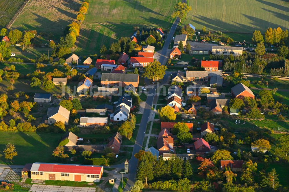 Kribbe von oben - Herbstluftbild Dorfkern am Feldrand in Kribbe im Bundesland Brandenburg, Deutschland