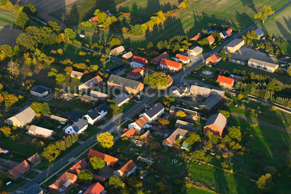 Kribbe aus der Vogelperspektive: Herbstluftbild Dorfkern am Feldrand in Kribbe im Bundesland Brandenburg, Deutschland