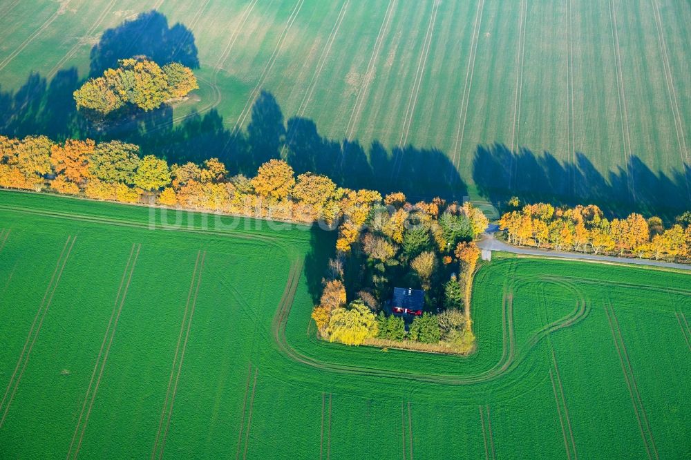 Neuenrost von oben - Herbstluftbild von einem Gehöft eines Bauernhofes in Neuenrost im Bundesland Mecklenburg-Vorpommern, Deutschland