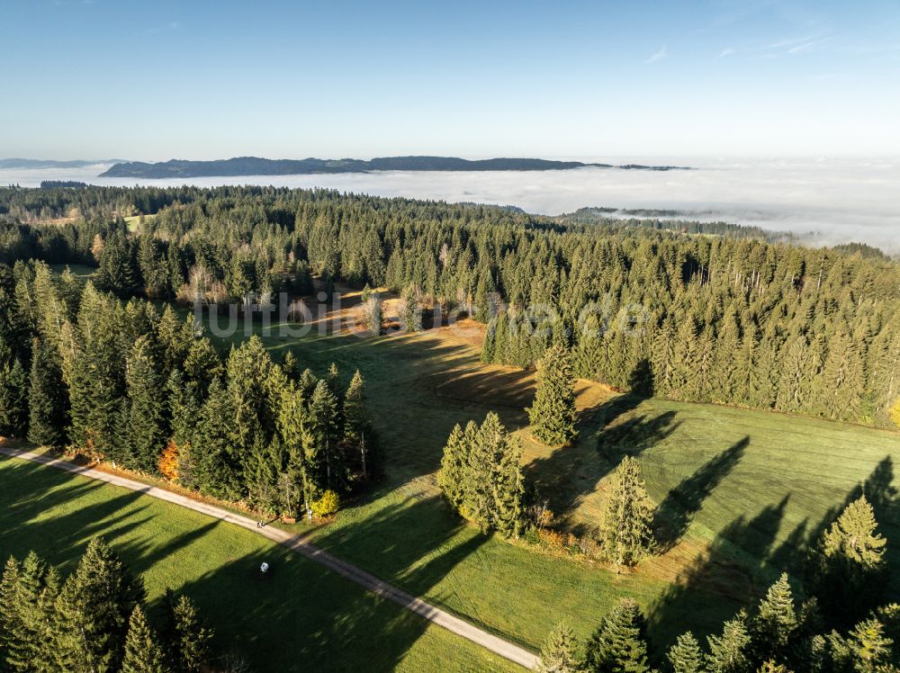 Sulzberg aus der Vogelperspektive: Herbstluftbild Forstgebiete in einem Waldgebiet mit Wiesenlandschaft in Sulzberg in Vorarlberg, Österreich