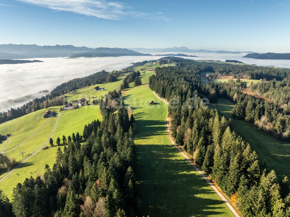 Luftbild Sulzberg - Herbstluftbild Forstgebiete in einem Waldgebiet mit Wiesenlandschaft in Sulzberg in Vorarlberg, Österreich