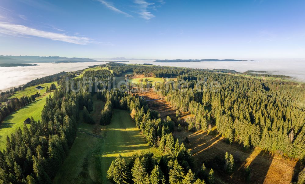 Luftbild Sulzberg - Herbstluftbild Forstgebiete in einem Waldgebiet mit Wiesenlandschaft in Sulzberg in Vorarlberg, Österreich