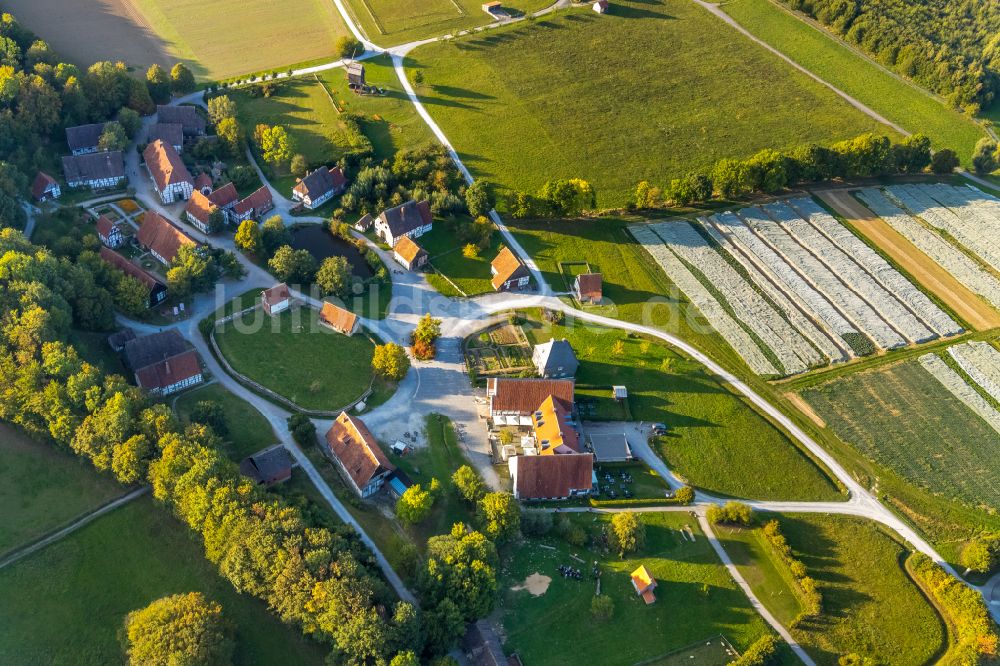 Detmold von oben - Herbstluftbild Gebäude des Restaurant Museumsgaststätte Im Weißen Ross im Freilichtmuseum in Detmold im Bundesland Nordrhein-Westfalen, Deutschland