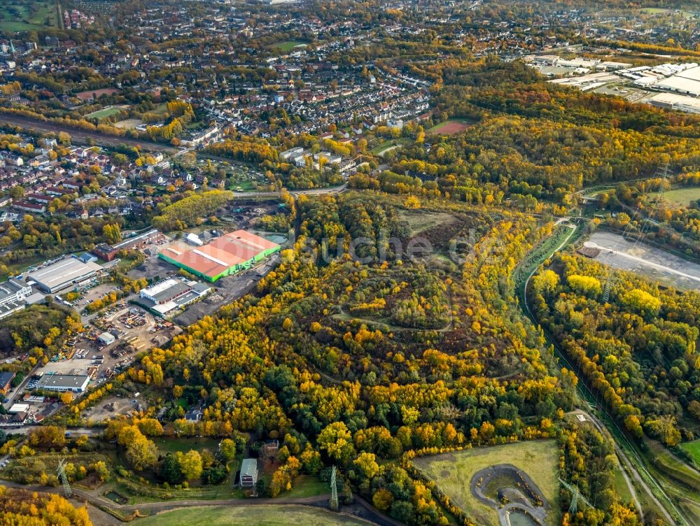 Gladbeck aus der Vogelperspektive: Herbstluftbild des Gelände der ehemaligen Bergbau- Halde Mottbruchhalde im Naturschutzgebiet Natroper Feld in Gladbeck im Bundesland Nordrhein-Westfalen