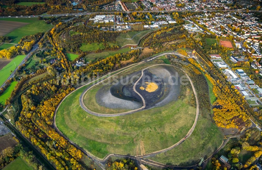 Luftbild Gladbeck - Herbstluftbild des Gelände der ehemaligen Bergbau- Halde Mottbruchhalde im Naturschutzgebiet Natroper Feld in Gladbeck im Bundesland Nordrhein-Westfalen