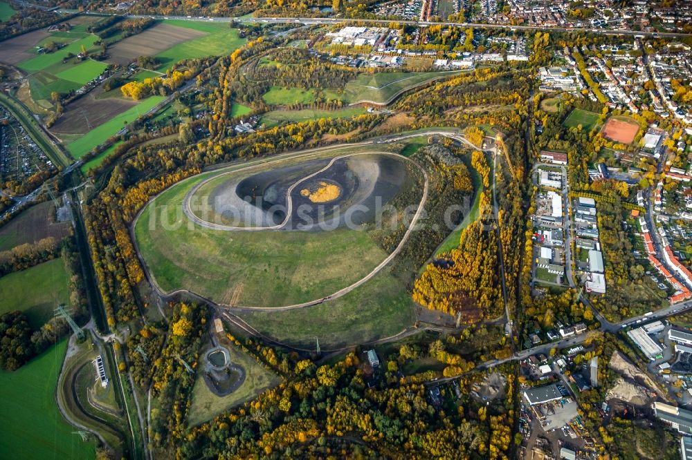 Luftaufnahme Gladbeck - Herbstluftbild des Gelände der ehemaligen Bergbau- Halde Mottbruchhalde im Naturschutzgebiet Natroper Feld in Gladbeck im Bundesland Nordrhein-Westfalen