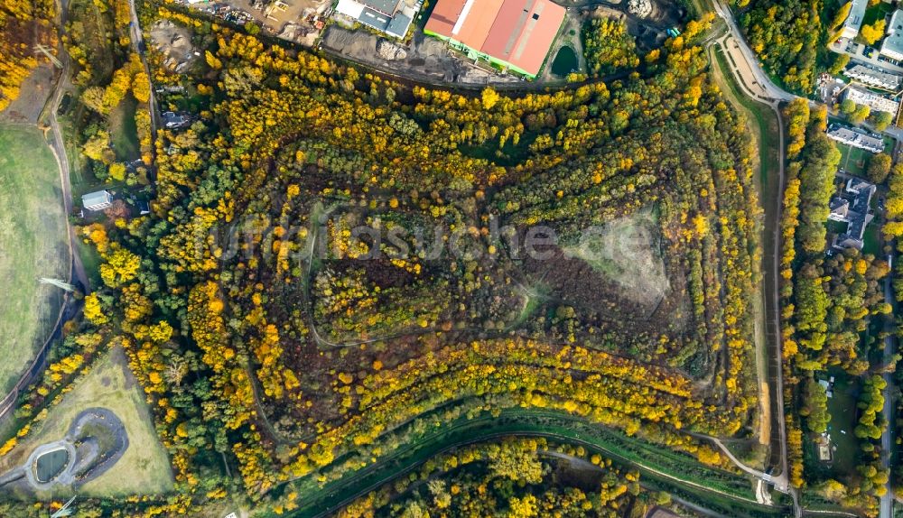 Gladbeck von oben - Herbstluftbild des Gelände der ehemaligen Bergbau- Halde Mottbruchhalde im Naturschutzgebiet Natroper Feld in Gladbeck im Bundesland Nordrhein-Westfalen