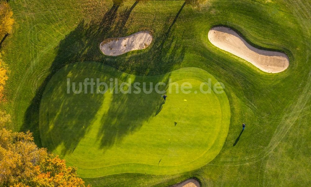 Bochum aus der Vogelperspektive: Herbstluftbild Golfplatz Bochumer Golfclub e.V. Im Mailand in Bochum im Bundesland Nordrhein-Westfalen, Deutschland