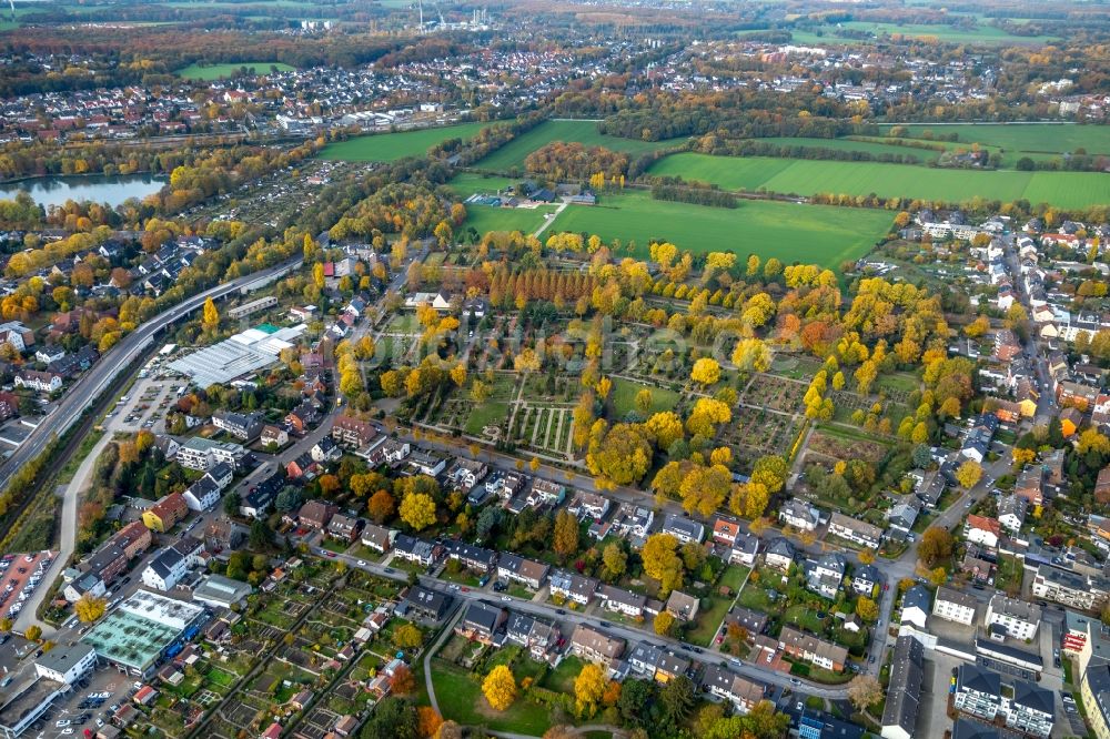 Luftbild Gladbeck - Herbstluftbild Grabreihen auf dem Gelände des Friedhofes in Gladbeck im Bundesland Nordrhein-Westfalen, Deutschland