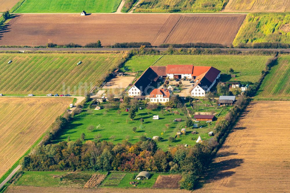 Hohberg von oben - Herbstluftbild Gutshaus und Landgut CVJM-Marienhof in Hohberg im Bundesland Baden-Württemberg, Deutschland