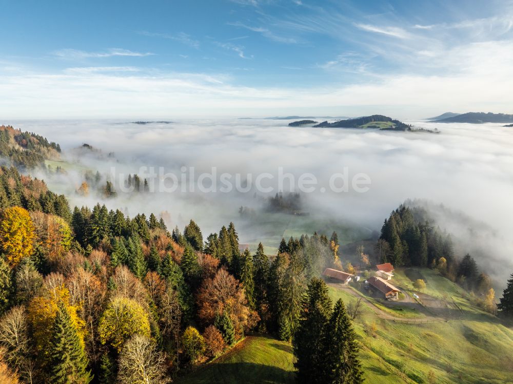 Luftaufnahme Oberreute - Herbstluftbild Herbstluftbild Nebel- und Wolken- Schicht über Wald- und Wiesenlandschaft im Allgäu im Ortsteil Oberreute in Irsengund im Bundesland Bayern, Deutschland